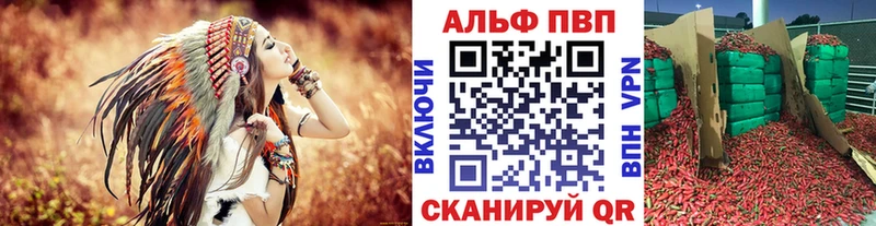 Alfa_PVP крисы CK  кракен как зайти  Гагарин 